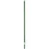 Vikan Aluminum Telescopic Handle, 62" - 109.4" - Green